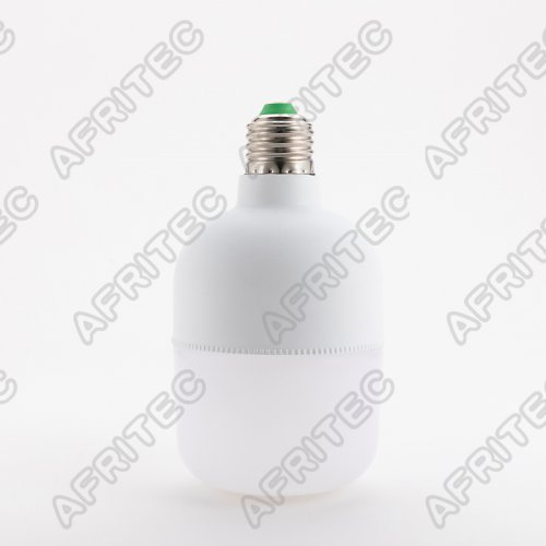 LED Light